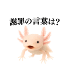 【煽る】爆笑★ウーパールーパーが煽る（個別スタンプ：21）