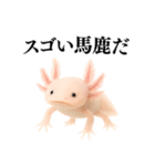 【煽る】爆笑★ウーパールーパーが煽る（個別スタンプ：23）