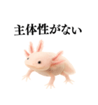 【煽る】爆笑★ウーパールーパーが煽る（個別スタンプ：26）