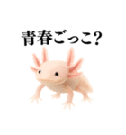 【煽る】爆笑★ウーパールーパーが煽る（個別スタンプ：29）