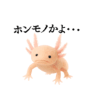 【煽る】爆笑★ウーパールーパーが煽る（個別スタンプ：30）