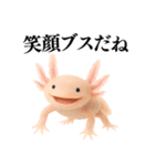 【煽る】爆笑★ウーパールーパーが煽る（個別スタンプ：31）