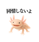 【煽る】爆笑★ウーパールーパーが煽る（個別スタンプ：32）