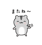 ゆるっとはむちゃんスタンプ（個別スタンプ：8）