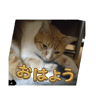 あいちゃんまりるべる（個別スタンプ：1）