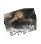 あいちゃんまりるべる（個別スタンプ：2）
