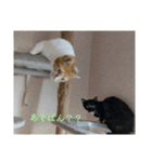 あいちゃんまりるべる（個別スタンプ：4）