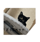 あいちゃんまりるべる（個別スタンプ：5）