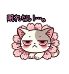 桜にゃん②……………………………..（個別スタンプ：37）