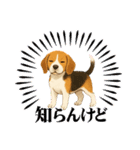 『ビーグル』のスタンプ（個別スタンプ：1）