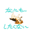 『ビーグル』のスタンプ（個別スタンプ：2）