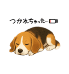 『ビーグル』のスタンプ（個別スタンプ：3）