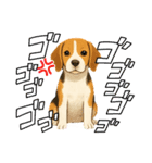 『ビーグル』のスタンプ（個別スタンプ：12）