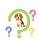『ビーグル』のスタンプ（個別スタンプ：34）