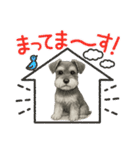 『ミニチュア・シュナウザー』のスタンプ（個別スタンプ：16）