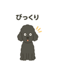 白黒スタンダードプードルちゃん（個別スタンプ：8）