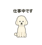 白黒スタンダードプードルちゃん（個別スタンプ：9）