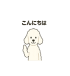 白黒スタンダードプードルちゃん（個別スタンプ：10）