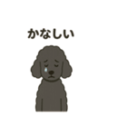 白黒スタンダードプードルちゃん（個別スタンプ：15）