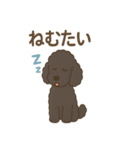 白黒スタンダードプードルちゃん（個別スタンプ：16）