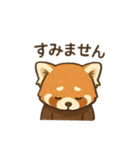 レッサーパンダ 日常シーン（個別スタンプ：4）