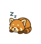 レッサーパンダ 日常シーン（個別スタンプ：8）