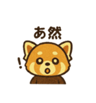 レッサーパンダ 日常シーン（個別スタンプ：16）