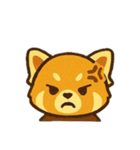 レッサーパンダ 日常シーン（個別スタンプ：19）