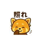 レッサーパンダ 日常シーン（個別スタンプ：20）