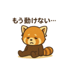 レッサーパンダ 日常シーン（個別スタンプ：24）