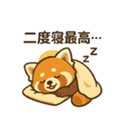 レッサーパンダ 日常シーン（個別スタンプ：30）
