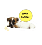 福本りくの日常スタンプ（個別スタンプ：1）