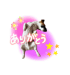 福本りくの日常スタンプ（個別スタンプ：8）