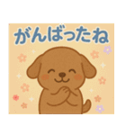 こいぬの毎日スタンプ（個別スタンプ：20）