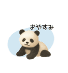 ふぇるとぱんだのスタンプ（個別スタンプ：8）