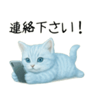 推し猫【青】…………………………（個別スタンプ：1）