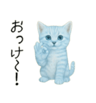 推し猫【青】…………………………（個別スタンプ：8）