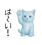 推し猫【青】…………………………（個別スタンプ：9）