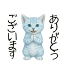 推し猫【青】…………………………（個別スタンプ：17）