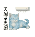 推し猫【青】…………………………（個別スタンプ：28）