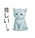 推し猫【青】…………………………（個別スタンプ：37）