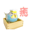 セキセイインコのお手軽スタンプ（個別スタンプ：20）