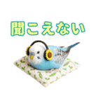 セキセイインコのお手軽スタンプ（個別スタンプ：25）
