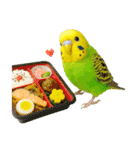 セキセイインコのお手軽スタンプ（個別スタンプ：32）
