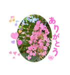 ありがとう・ありがとうございます（個別スタンプ：1）