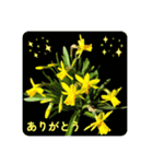 ありがとう・ありがとうございます（個別スタンプ：5）