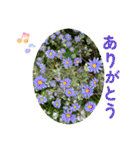 ありがとう・ありがとうございます（個別スタンプ：9）
