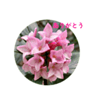 ありがとう・ありがとうございます（個別スタンプ：11）