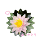 ありがとう・ありがとうございます（個別スタンプ：12）
