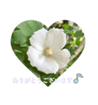 ありがとう・ありがとうございます（個別スタンプ：15）